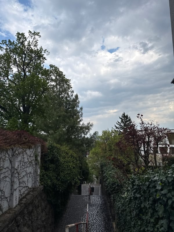 Ordinary street scenes documented in Bratislava during afternoon