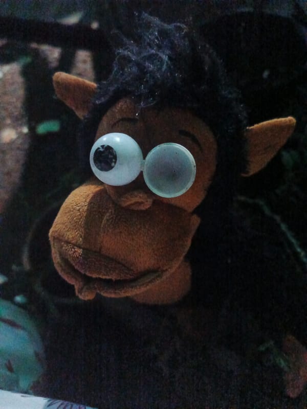 Stuffed monkey toy photographed in Tinaco, Venezuela
