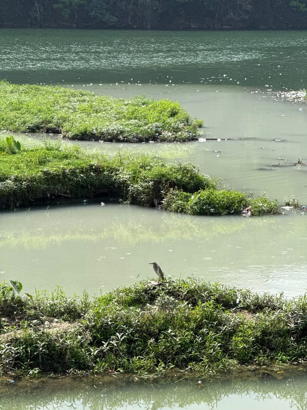 Morning life scenes documented across Pokhara, Nepal