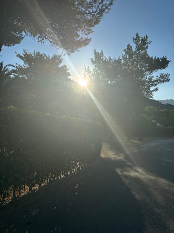 Sun-drenched streets and greenery in coastal Budva, Montenegro