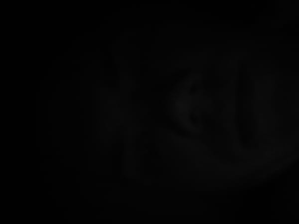 Dark image captured in Tashkent prevents witness identification