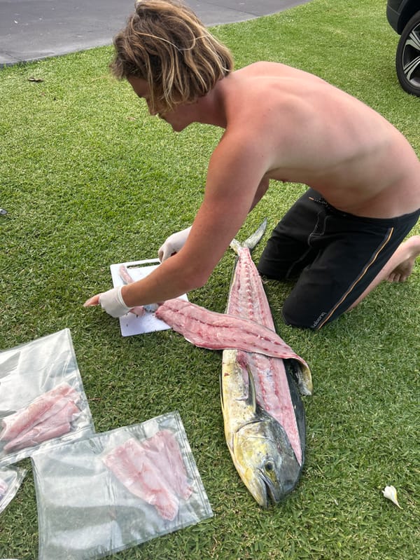 Man fillets fresh mahi-mahi catch on residential lawn in Bulli