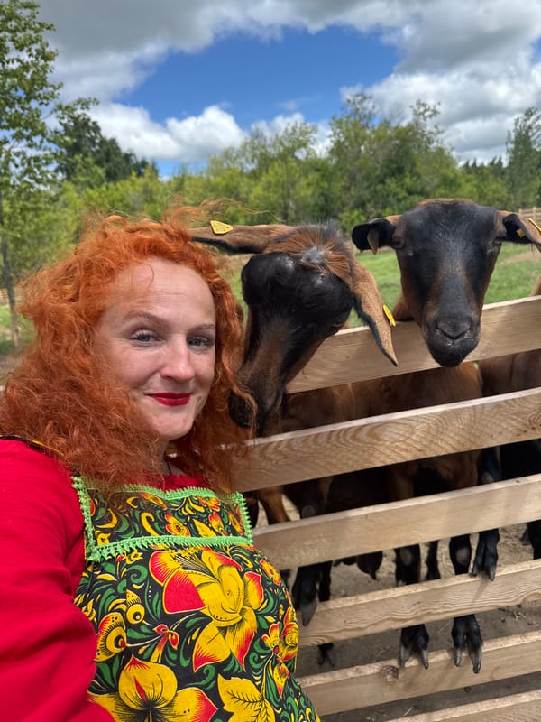 Camels, goats, and a quirky pit stop in Tri Ozera