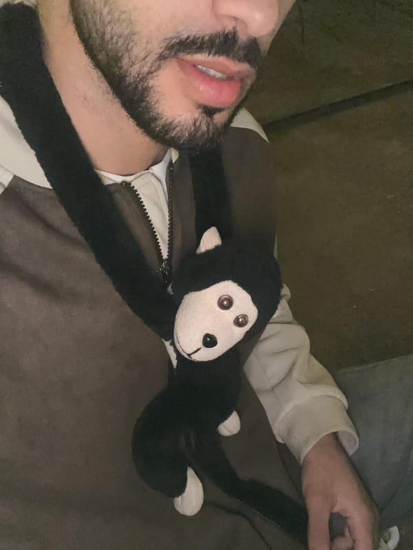 Evening moments with stuffed monkey toy captured in Meknes