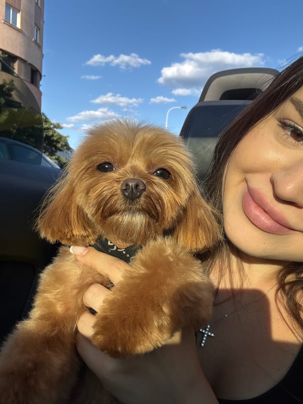 Selfie moment with a fluffy tan dog in Prague
