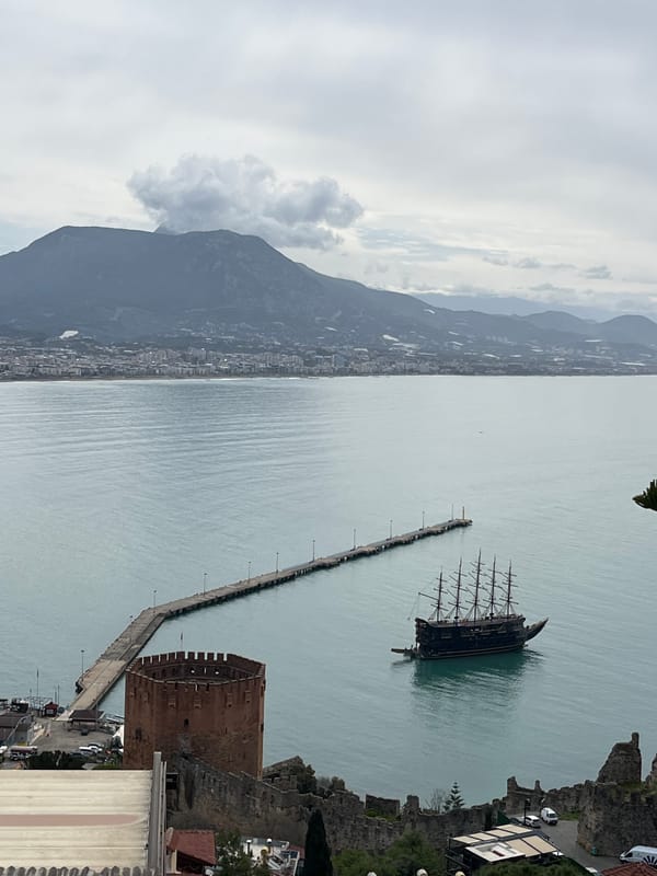 Morning documentation of Alanya's harbor, flora and urban scenes