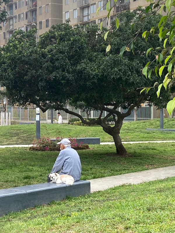 Person in baseball cap observed in San Miguel park