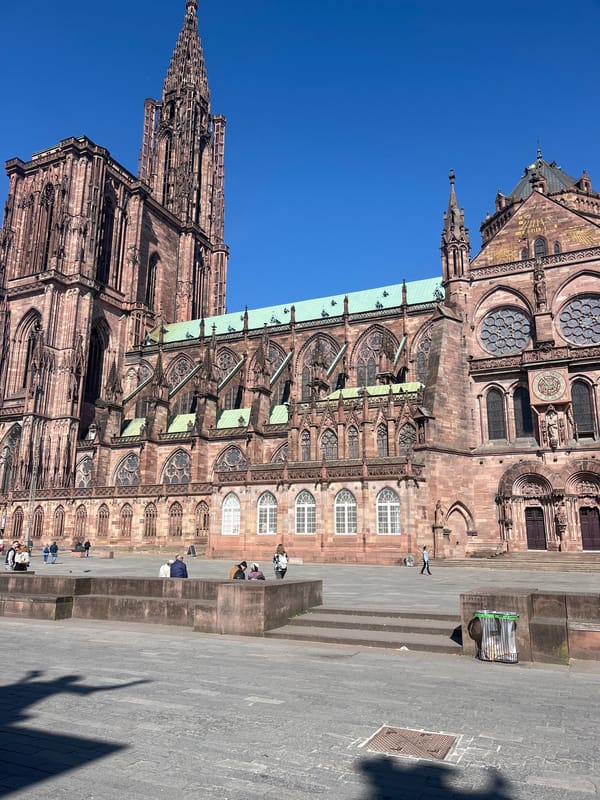 Morning scenes around Strasbourg Cathedral documented by witnesses