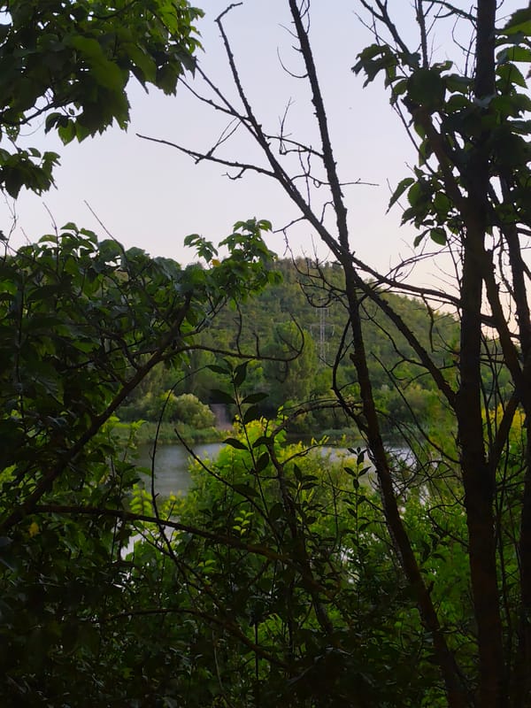 Dusk along the water's edge in Goyany, Moldova