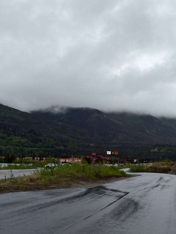 Wet road conditions documented in Denali National Park