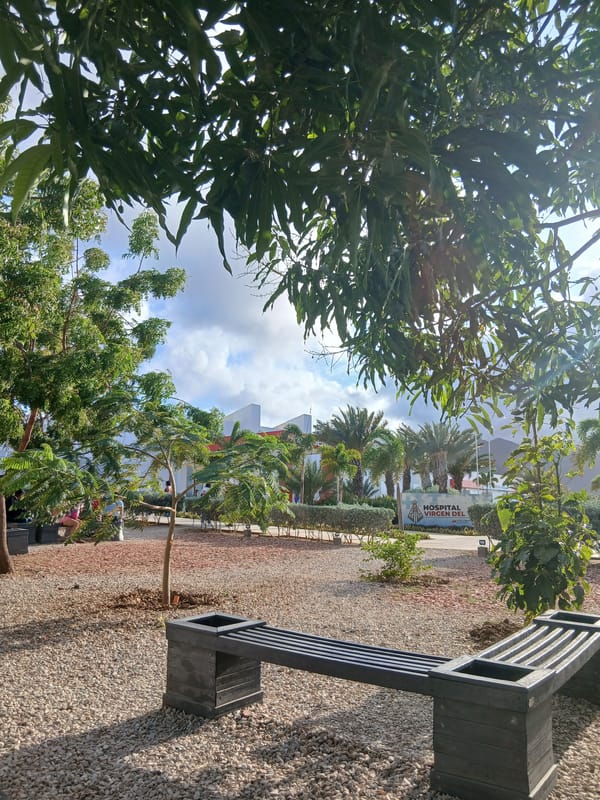 Sunny day documented near Venezuelan hospital grounds