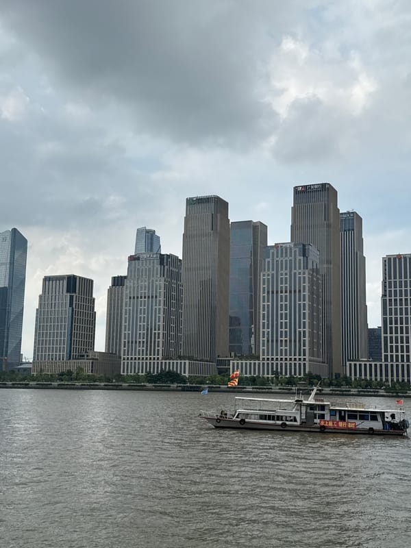 Morning stroll along Haizhu's palm-lined riverside park