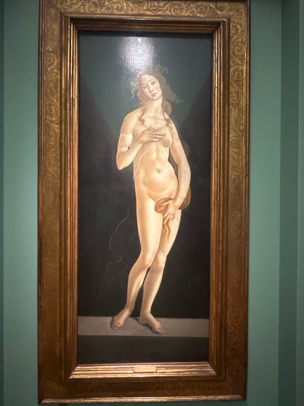 Museum visitor documents Renaissance artworks in Turin gallery