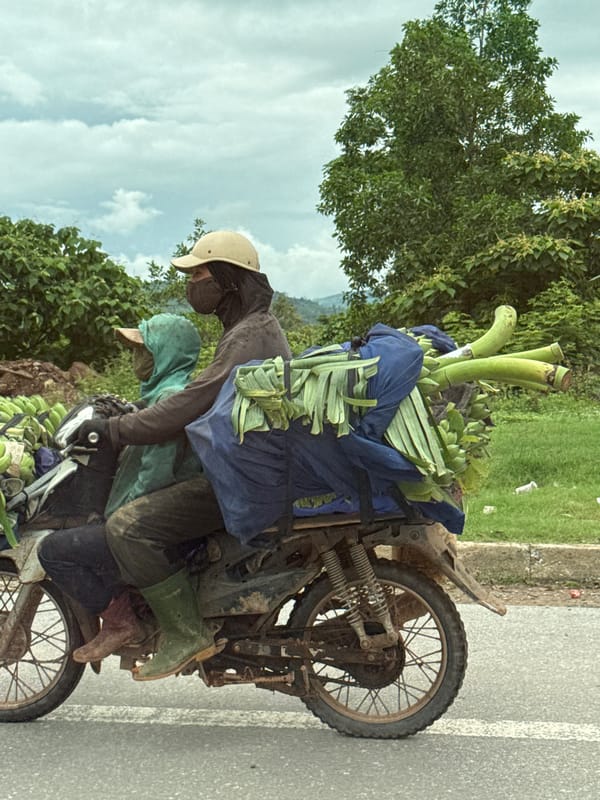 Banana-loaded motorcycle on the road in Lao Bảo, Vietnam