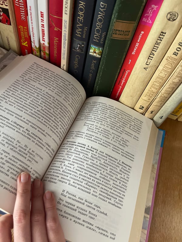 Quiet domestic afternoon in Sredny: figurines, books, and soup