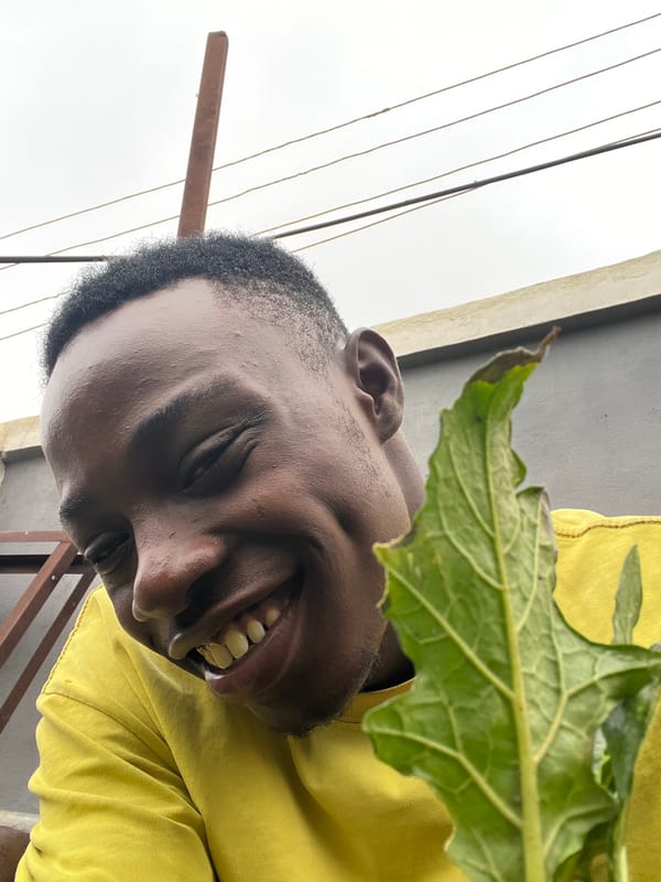Checking on a backyard okra garden in Nkpor, Nigeria