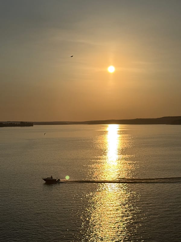 Golden hour at the Votkinsk Reservoir, birds and stillness