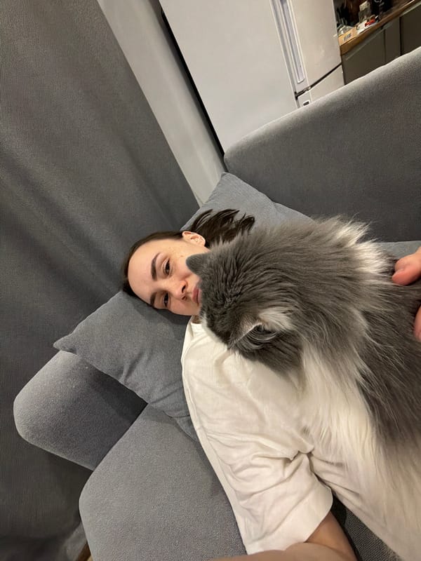 Cat rests on person's chest during quiet moment