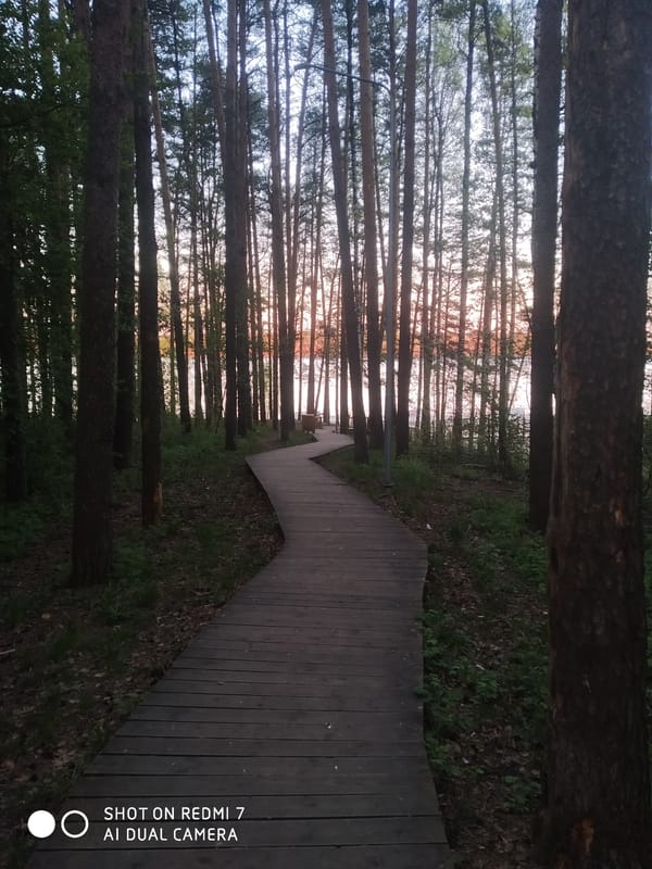 Evening stroll documented along Chaikovsky waterfront and forest paths