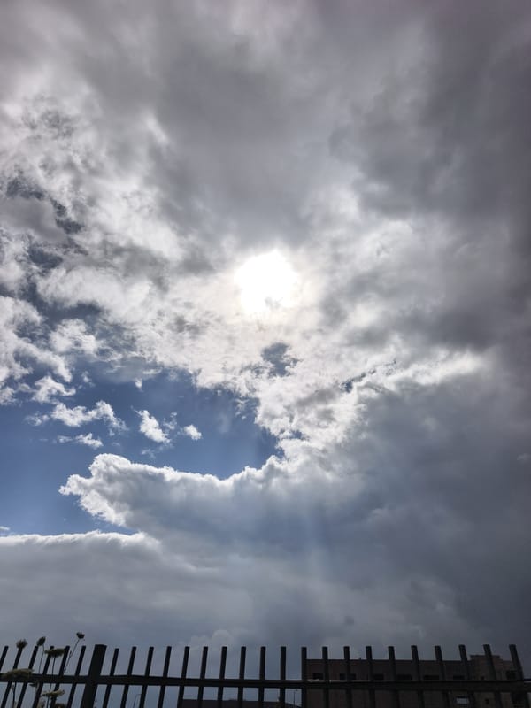 Witness captures spring sky and wildflowers in Jezreel Valley
