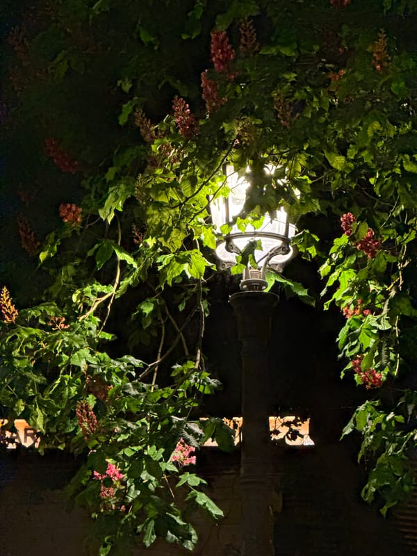 Nighttime Paris street scenes captured near illuminated café district