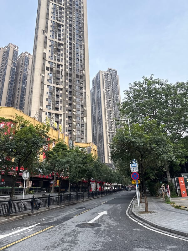 Street-level slice of Haizhu District on a cloudy June evening