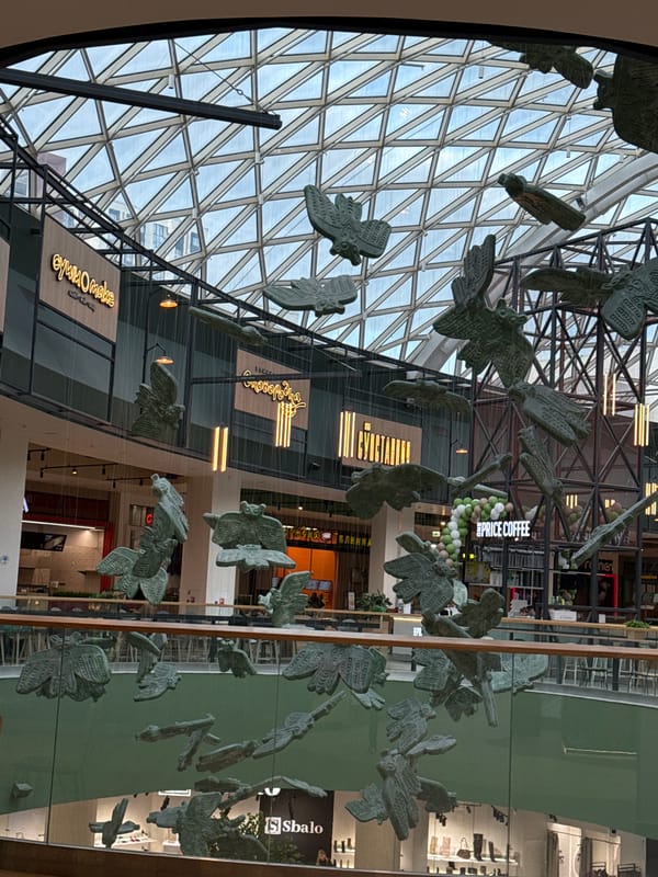 Shopping mall scenes and portraits documented in Perm