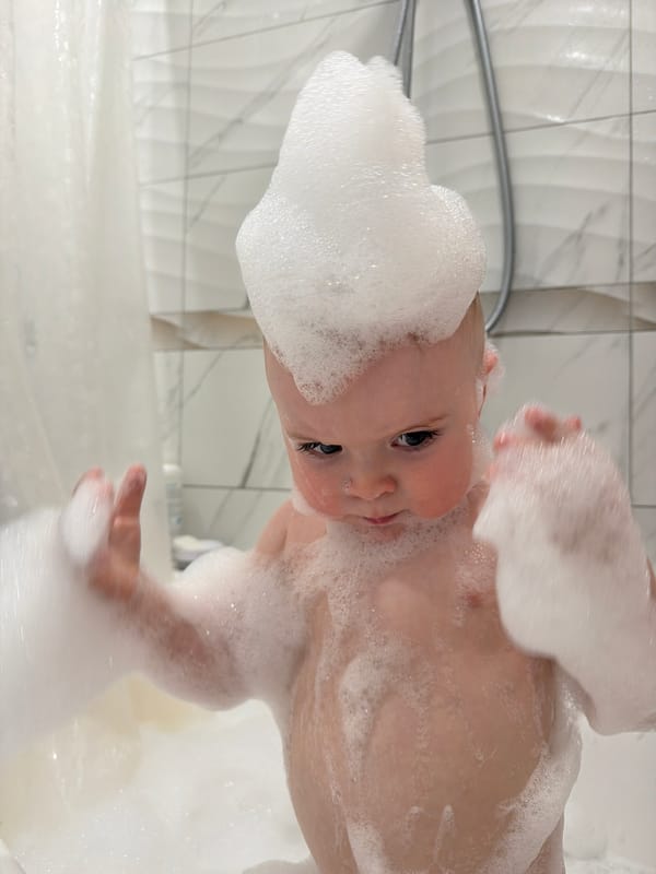 Family captures everyday moments with baby, toddler, and Chihuahua