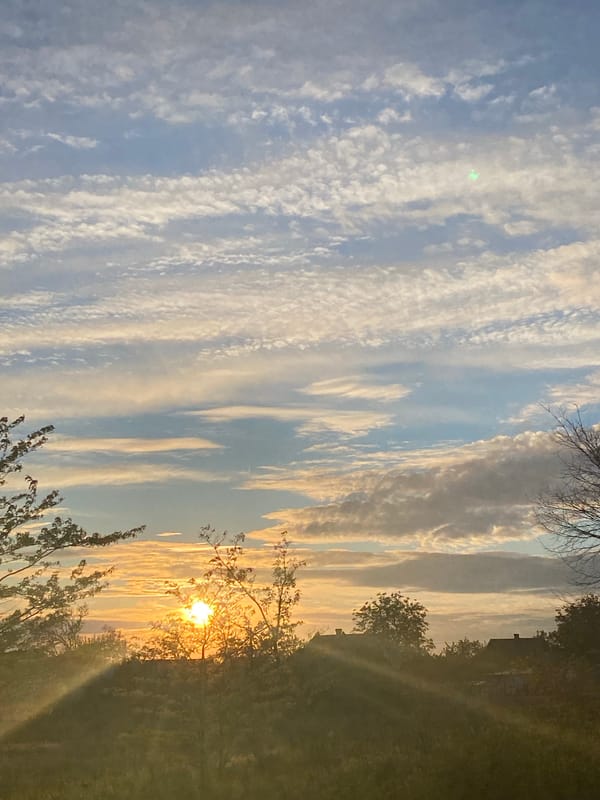 Rural landscape scenes documented during sunset period May 14