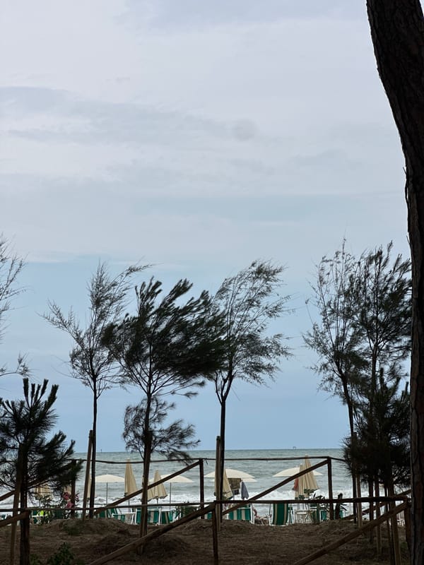 Cloudy morning at Pineto's Adriatic beach, mostly quiet