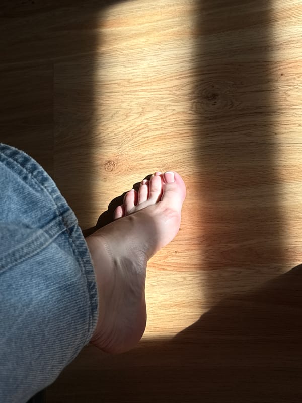 Afternoon relaxation moment captured on wooden floor in Bratislava