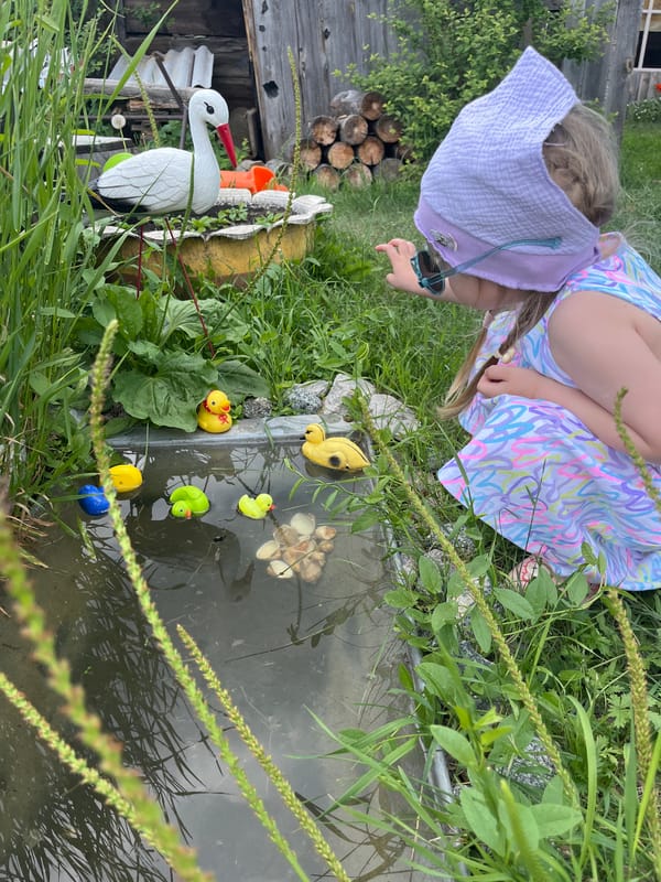 Morning backyard activities captured in rural Russian village