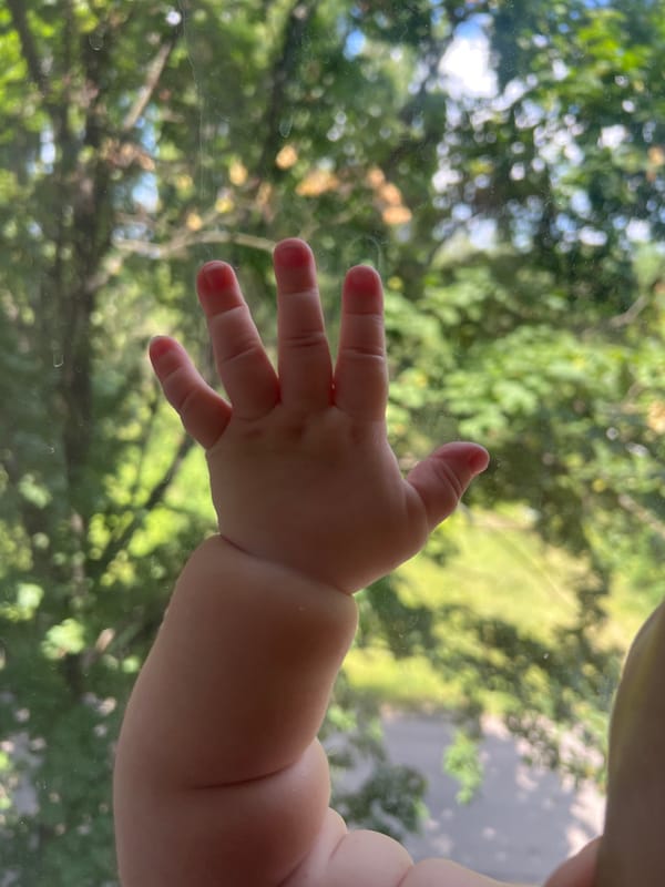 Baby's morning moments captured near window with garden views