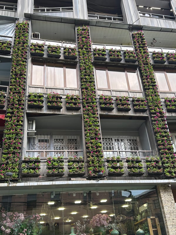 Green-walled building with plant facade photographed in Yerevan