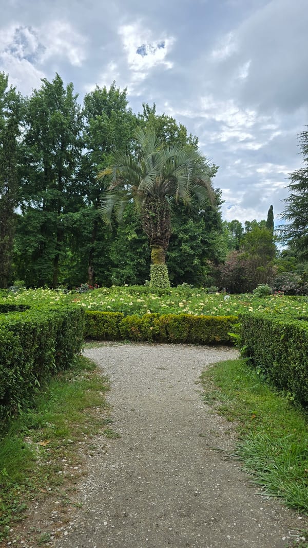 Wandering a lush botanical park in Sirius, Russia