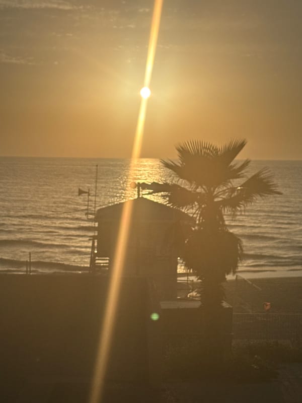 Sunset and cat moments captured in Bat Yam beach town