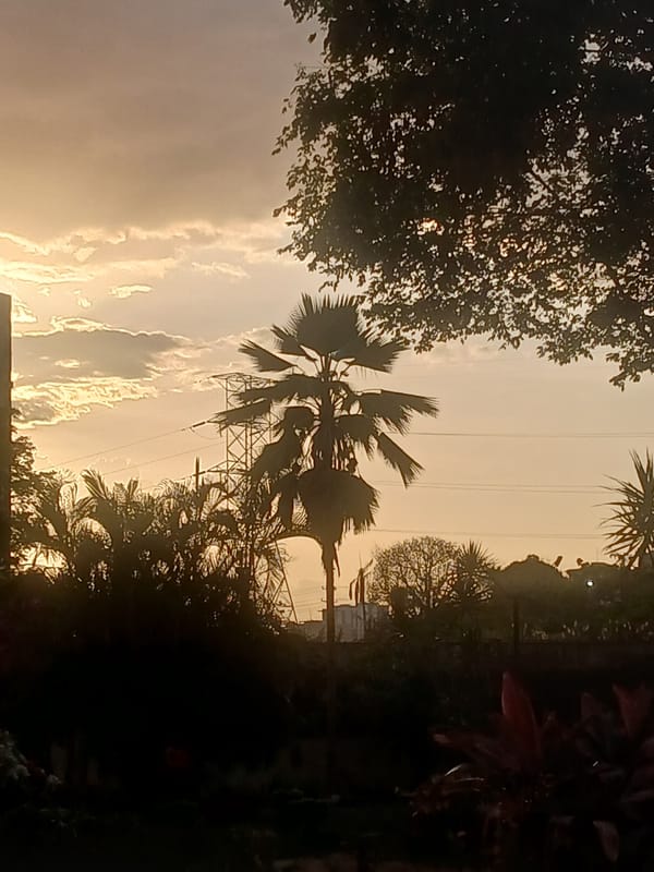 Evening stroll documented through Ciudad Guayana residential area