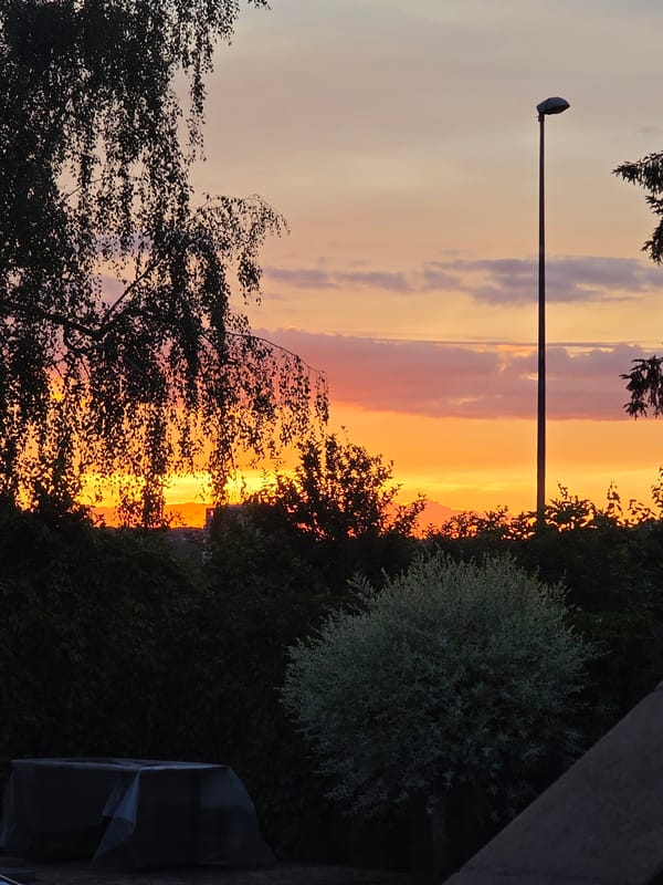 Suburban evening captured through eight perspectives during dusk hour