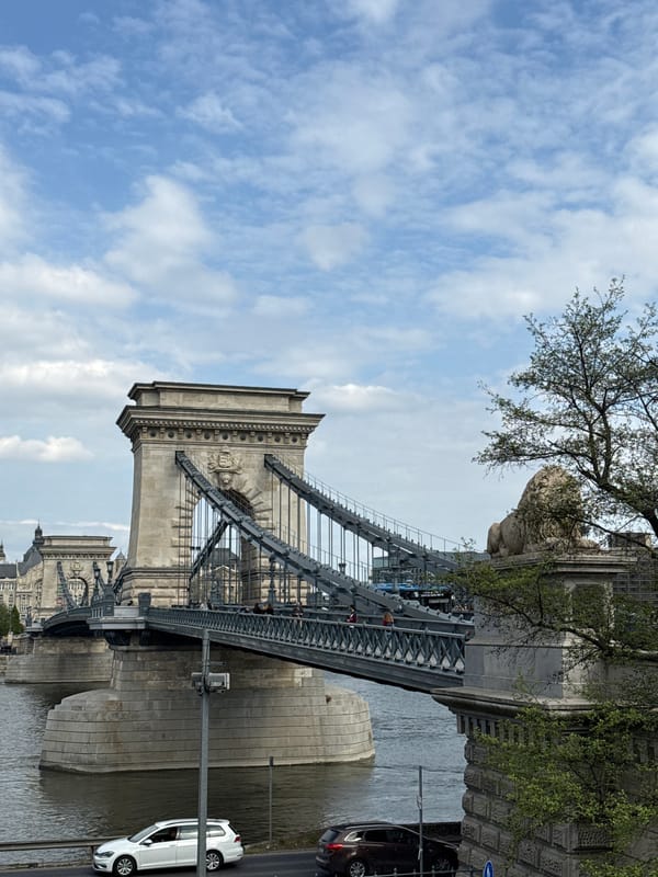 Tourist documents Budapest landmarks during 13-minute walking tour