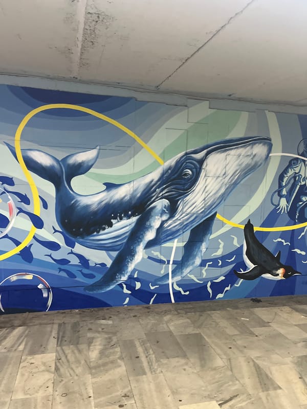 Sofia resident documents street art and gym visit