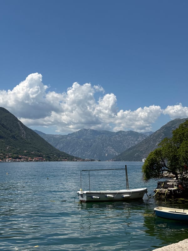 Ships gather in Montenegro's Bay of Kotor waters