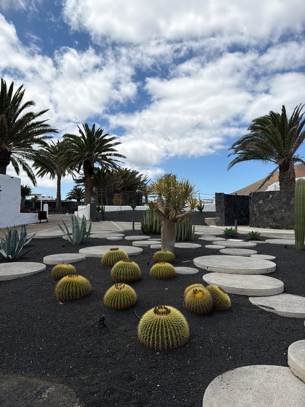 Tourist documents traditional crafts and volcanic vineyards in San Bartolomé