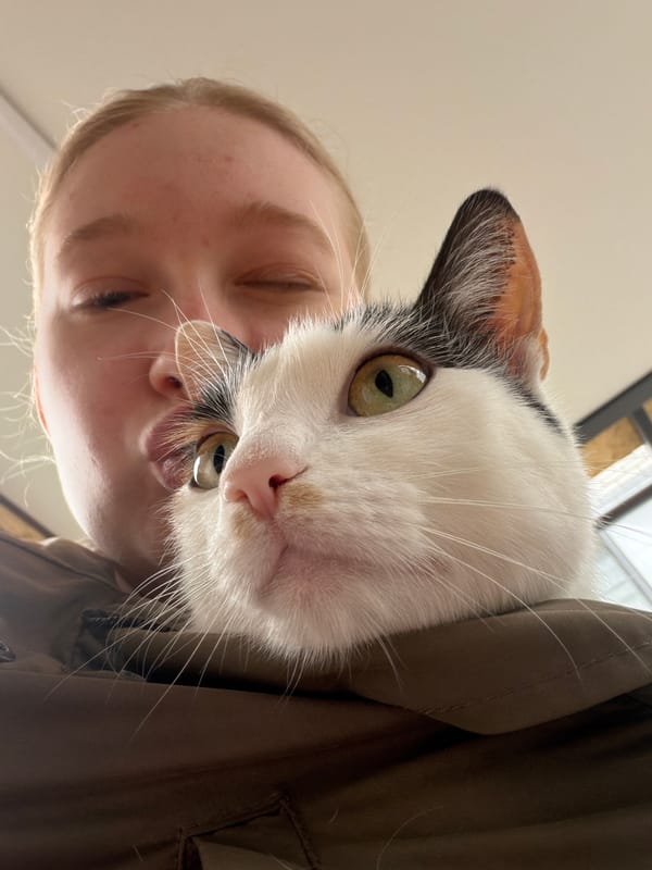 Woman shares tender moment with cat during outdoor breakfast