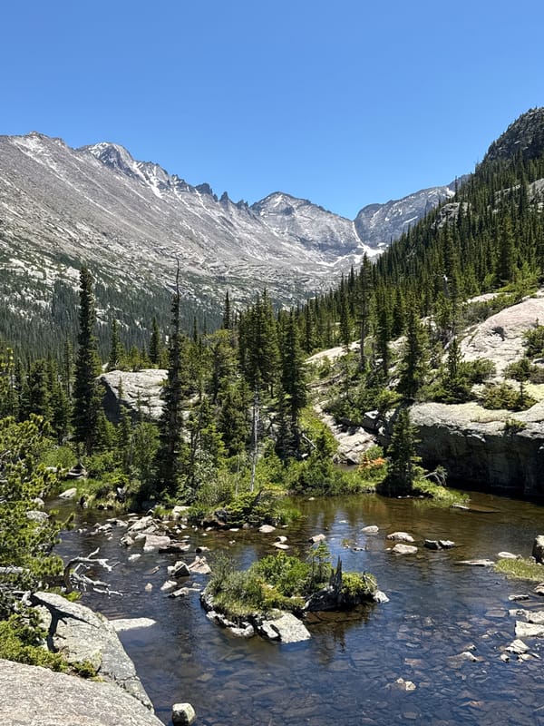 Rocky Mountain lakes, streams, and weathered driftwood on a clear evening