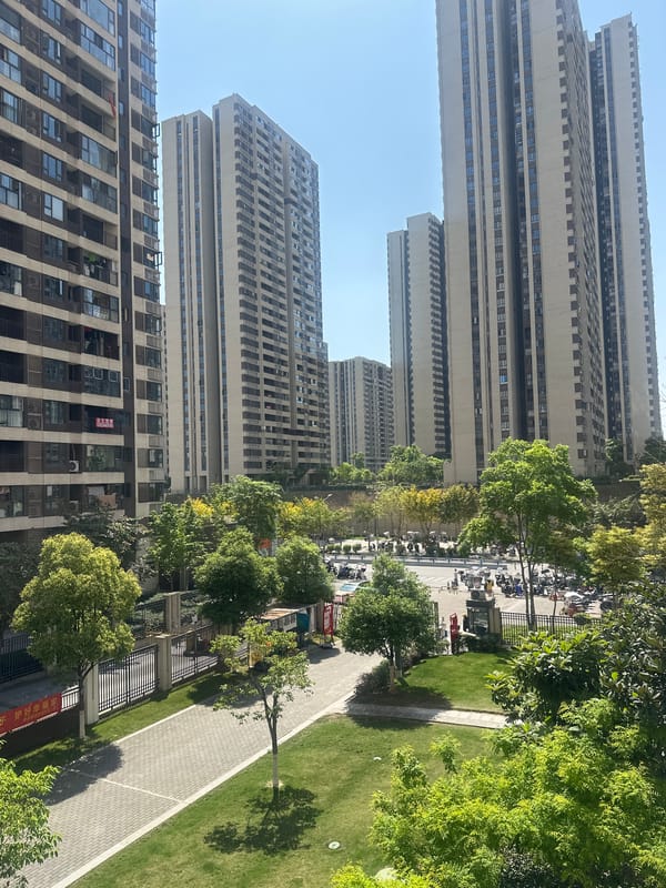Morning observations captured in Chongqing High-tech Zone residential area