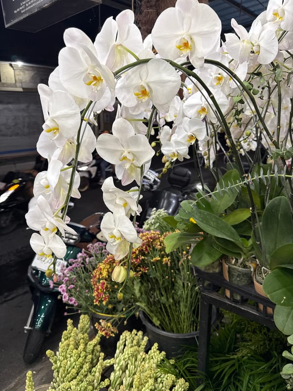 Morning diners enjoy pet-friendly breakfast at Ubud restaurant