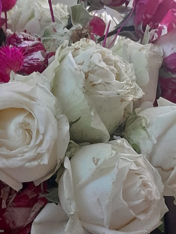 Witness documents flowers, skies, plants, pottery in four-minute span