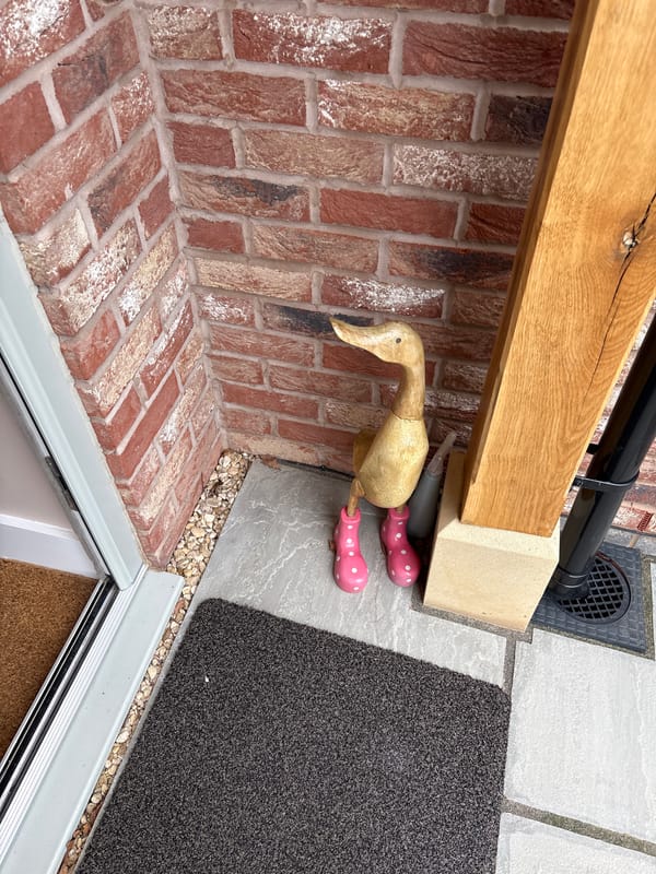 Garden scenes with wooden duck decoration observed in Longden