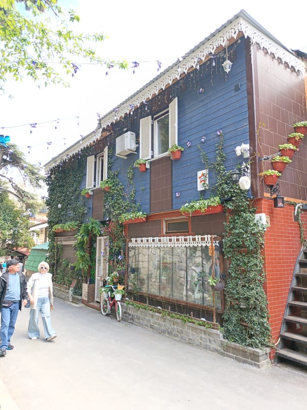 Street scenes documented in Ukrainian village settlement