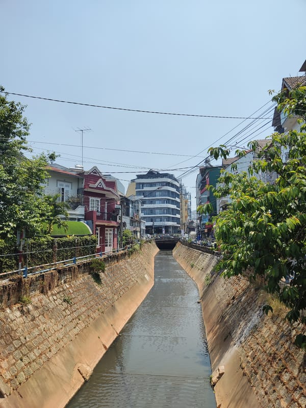 Upward sun view through trees captured in Da Lat